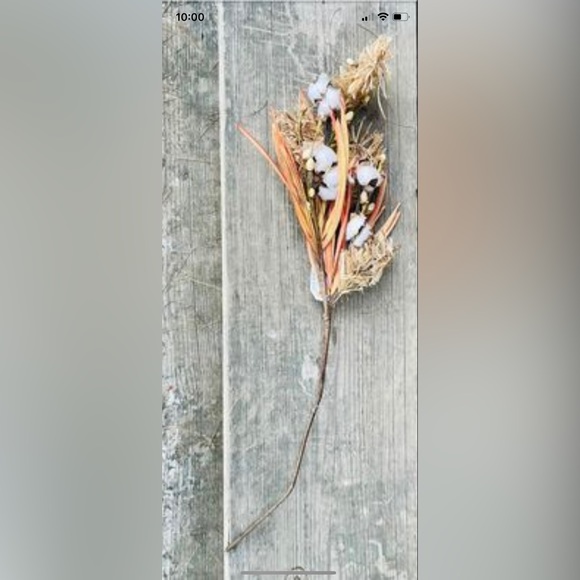 *Cotton & Fall Grass Branch, 28” - Picture 9 of 10